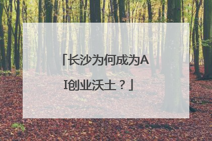 长沙为何成为AI创业沃土？