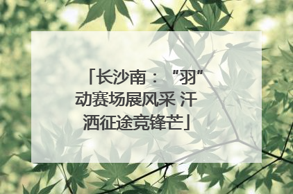 长沙南：“羽”动赛场展风采 汗洒征途竞锋芒