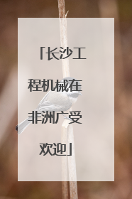 长沙工程机械在非洲广受欢迎