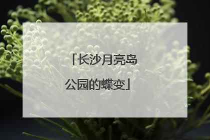 长沙月亮岛公园的蝶变
