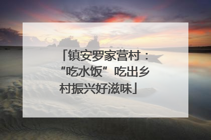 镇安罗家营村：“吃水饭”吃出乡村振兴好滋味