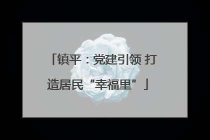 镇平：党建引领 打造居民“幸福里”