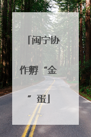 闽宁协作孵“金”蛋