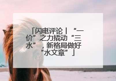 闪电评论丨“一价”之力撬动“三水”，新格局做好“水文章”