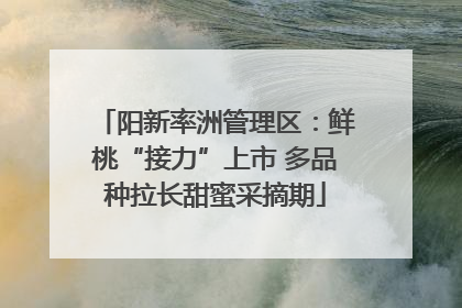 阳新率洲管理区：鲜桃“接力”上市 多品种拉长甜蜜采摘期