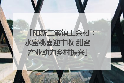 阳新三溪镇上余村：水蜜桃喜迎丰收 甜蜜产业助力乡村振兴