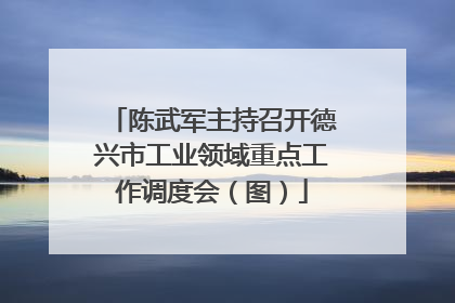 陈武军主持召开德兴市工业领域重点工作调度会（图）