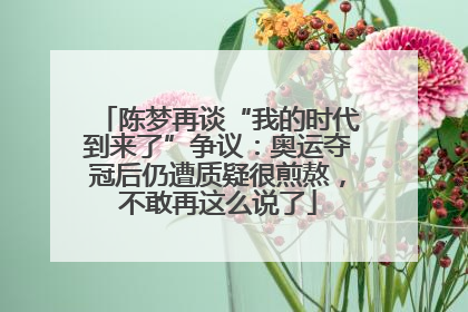 陈梦再谈“我的时代到来了”争议：奥运夺冠后仍遭质疑很煎熬，不敢再这么说了