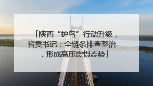 陕西“护鸟”行动升级，省委书记：全链条排查整治，形成高压震慑态势