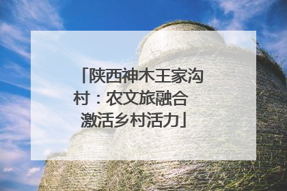 陕西神木王家沟村：农文旅融合 激活乡村活力