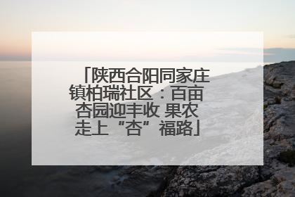 陕西合阳同家庄镇柏瑞社区：百亩杏园迎丰收 果农走上“杏”福路
