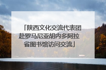 陕西文化交流代表团赴罗马尼亚胡内多阿拉省图书馆访问交流