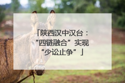陕西汉中汉台：“四链融合”实现“少讼止争”