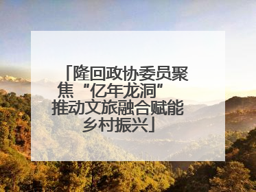 隆回政协委员聚焦“亿年龙洞” 推动文旅融合赋能乡村振兴