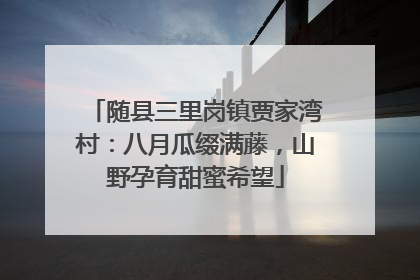 随县三里岗镇贾家湾村：八月瓜缀满藤，山野孕育甜蜜希望