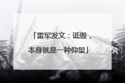 雷军发文：诋毁，本身就是一种仰望