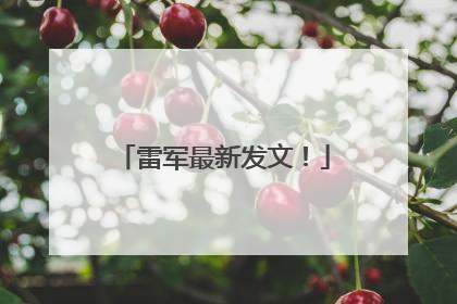雷军最新发文！