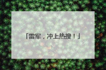雷军，冲上热搜！