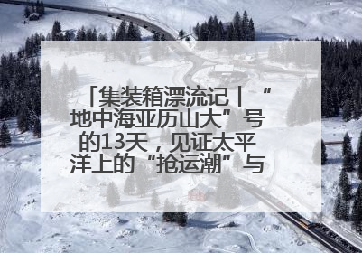 集装箱漂流记丨“地中海亚历山大”号的13天，见证太平洋上的“抢运潮”与“过剩潮”