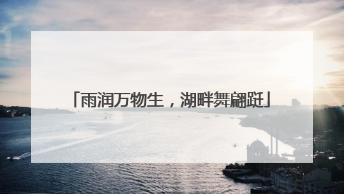 雨润万物生，湖畔舞翩跹