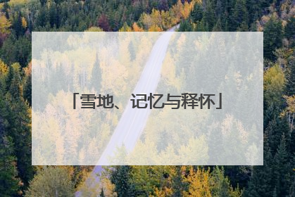 雪地、记忆与释怀