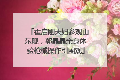 霍启刚夫妇参观山东舰，郭晶晶亲身体验枪械操作引围观
