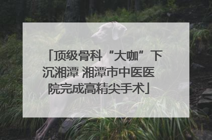 顶级骨科“大咖”下沉湘潭 湘潭市中医医院完成高精尖手术