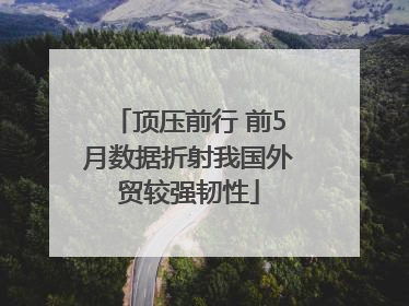 顶压前行 前5月数据折射我国外贸较强韧性