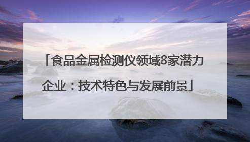 食品金属检测仪领域8家潜力企业：技术特色与发展前景