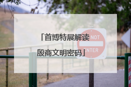 首博特展解读殷商文明密码