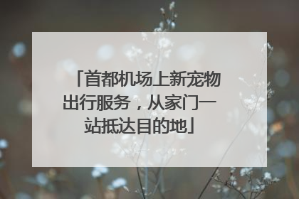首都机场上新宠物出行服务，从家门一站抵达目的地
