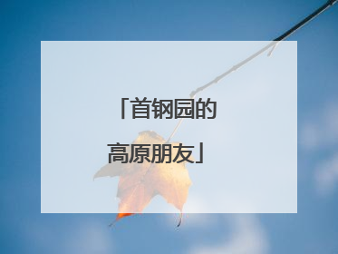 首钢园的高原朋友