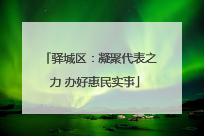 驿城区：凝聚代表之力 办好惠民实事