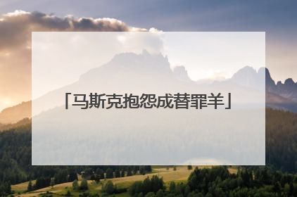 马斯克抱怨成替罪羊