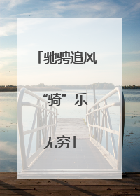 驰骋追风 “骑”乐无穷