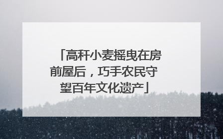 高秆小麦摇曳在房前屋后，巧手农民守望百年文化遗产