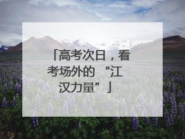 高考次日，看考场外的 “江汉力量”