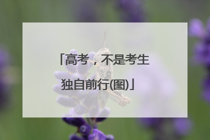 高考，不是考生独自前行(图)