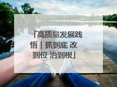 高质量发展践悟｜抓到底 改到位 治到根