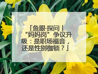 鱼眼·探问丨 “妈妈岗”争议升级：是职场福音，还是性别枷锁？