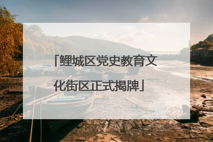 鲤城区党史教育文化街区正式揭牌