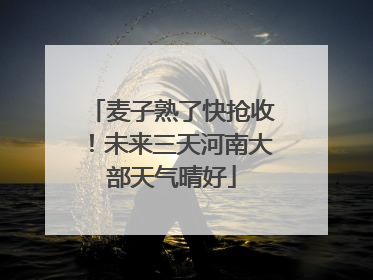 麦子熟了快抢收！未来三天河南大部天气晴好