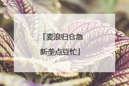 麦浪归仓急 新垄点豆忙