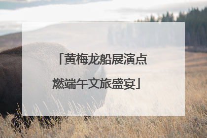 黄梅龙船展演点燃端午文旅盛宴