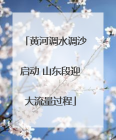 黄河调水调沙启动 山东段迎大流量过程