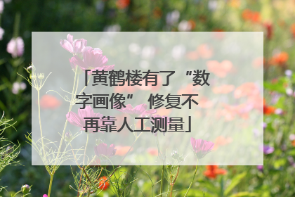 黄鹤楼有了“数字画像” 修复不再靠人工测量