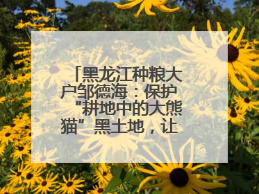 黑龙江种粮大户邹德海：保护“耕地中的大熊猫”黑土地，让增产可持续