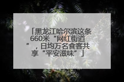 黑龙江哈尔滨这条660米“网红街道”，日均万名食客共享“平安滋味”