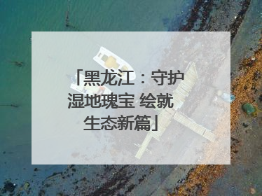 黑龙江：守护湿地瑰宝 绘就生态新篇