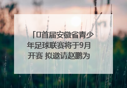 ﻿首届安徽省青少年足球联赛将于9月开赛 拟邀请赵鹏为先导赛开球